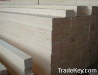 poplar lvl for furniture