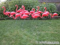 Plastic pink flamingos