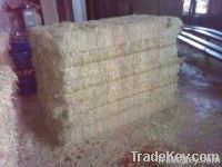 pellets alfalfa