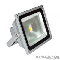 LED Flood Light