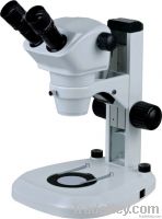 Stereo Microscope