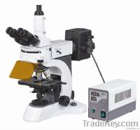 Upright Fluorescent Biological Microscope