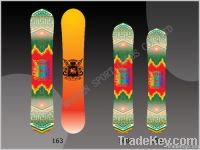 snowboard/skiboard