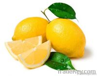 Organic Lemons