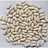 White kidney beans