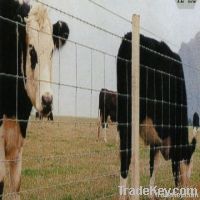 galvanized animal fence