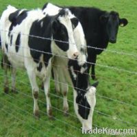 cattle wire mesh fence