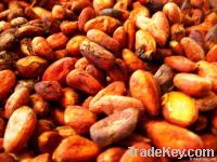 https://cn.tradekey.com/product_view/-quot-biokoko-quot-Single-origin-Samoan-Cocoa-Beans-2226311.html