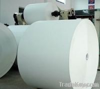 pe coated paper