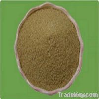 Allicin 25% Powder