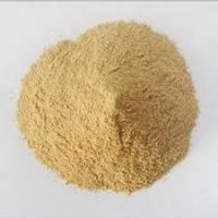 Fish Meal 60% & 65% Powder