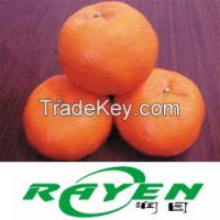Mandarin Orange