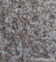 Granite Slabs, Granite Tiles, Bainbrook Brown G664