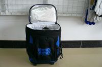 cooler bag