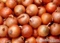 Onions