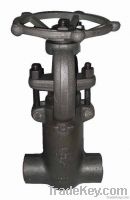 Pressure Seal gate valve