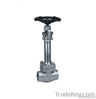 Cryogenic gate valve