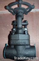 Forged steel globe valve