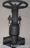 Pressure Seal globe valve