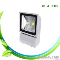 2*50W High Brightness LED Floodlight