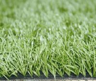 Artificial Turf (