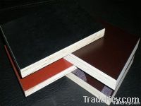 1220*2440mm Packing &amp; Furniture &amp; Decoration plywood