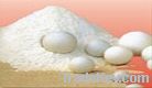 CaCo3 Coating Powder