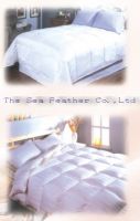https://cn.tradekey.com/product_view/13-5-Tog-Duvet-And-Pillow-Set-King-Size--212943.html