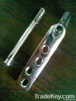 orthopedic implant