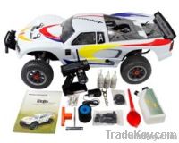 1:5 adults petrol rc cars