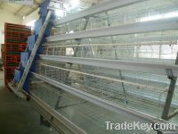 poultry farming equipment for layers