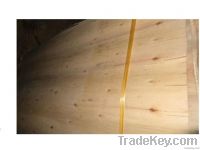 Eucalyptus core veneer