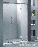 shower door