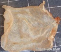 Fish Maw
