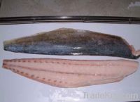 Mahi Mahi Fillets
