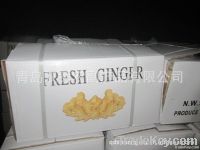 fat ginger , China