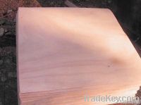 all kinds of veneers