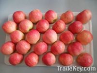 Yantai Quanshi New Season Red Gala Apple--Best Price