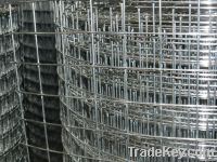 Welded wire mesh