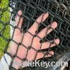 chain link fence From China