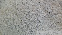 RICE SUPPLIER| PARBOILED RICE IMPORTERS | BASMATI RICE EXPORTER| KERNAL RICE WHOLESALER| WHITE RICE MANUFACTURER| LONG GRAIN TRADER| BROKEN RICE BUYER | IMPORT BASMATI RICE| BUY KERNAL RICE| WHOLESALE WHITE RICE| LOW PRICE LONG GRAIN
