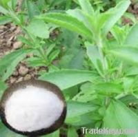 Stevia Leaf Extract