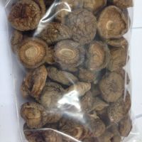 Bulk Wild Natural Fresh  Whole Meaty Thick Dried Mushroom