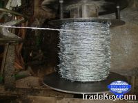 Electric galvanized barbed wire pvc coated barb