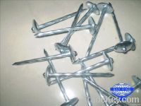 Twisted or smooth shank umbrella head electro galvanized roofing nail