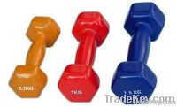 Vinyl Dipping dumbbell