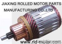 Starter Motor, Armature
