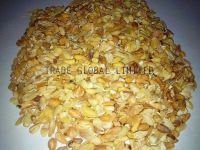 Corn Germ/ Maize Germ(Wet Method)