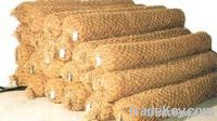 Coir Log &amp; Coir Bed