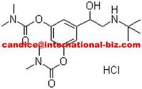 Bambuterol Hydrochloride